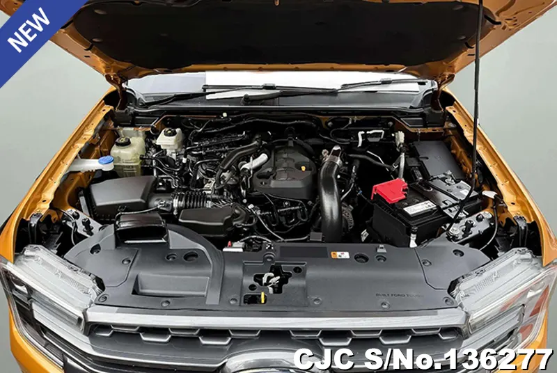 Ford Ranger in Orange for Sale Image 13