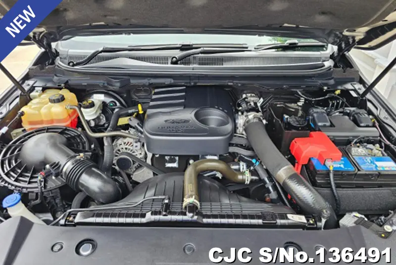 Ford Ranger in Gray for Sale Image 13
