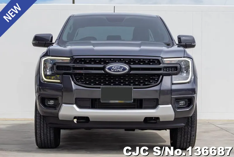 Ford Ranger in Gray for Sale Image 4