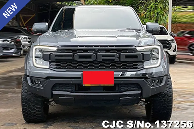 Ford Ranger in Gray for Sale Image 3