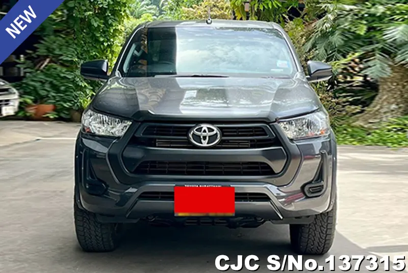Toyota Hilux in Gray for Sale Image 4
