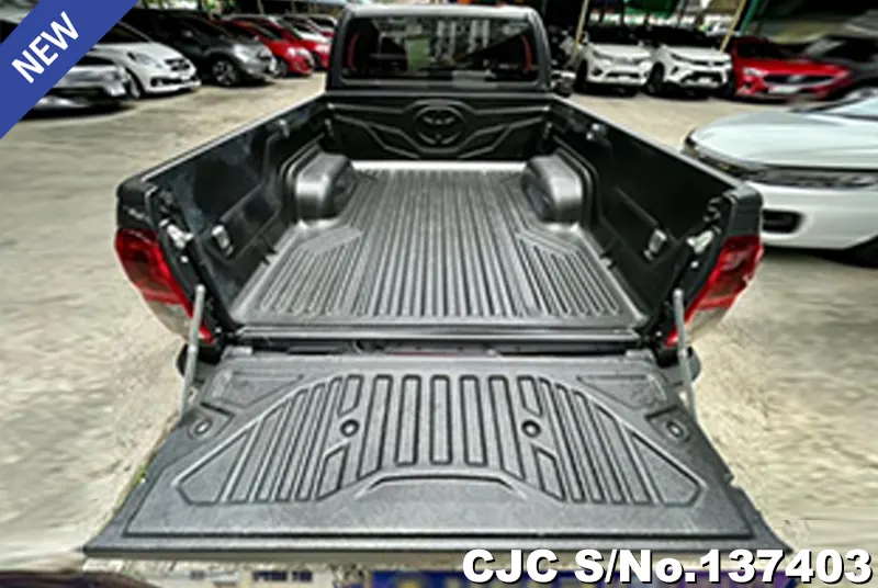 Toyota Hilux in Gray for Sale Image 6