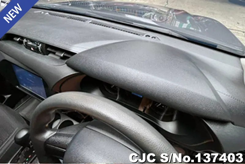 Toyota Hilux in Gray for Sale Image 10