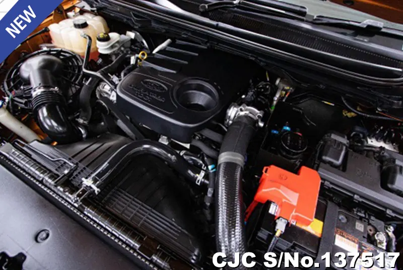 Ford Ranger in Orange for Sale Image 10