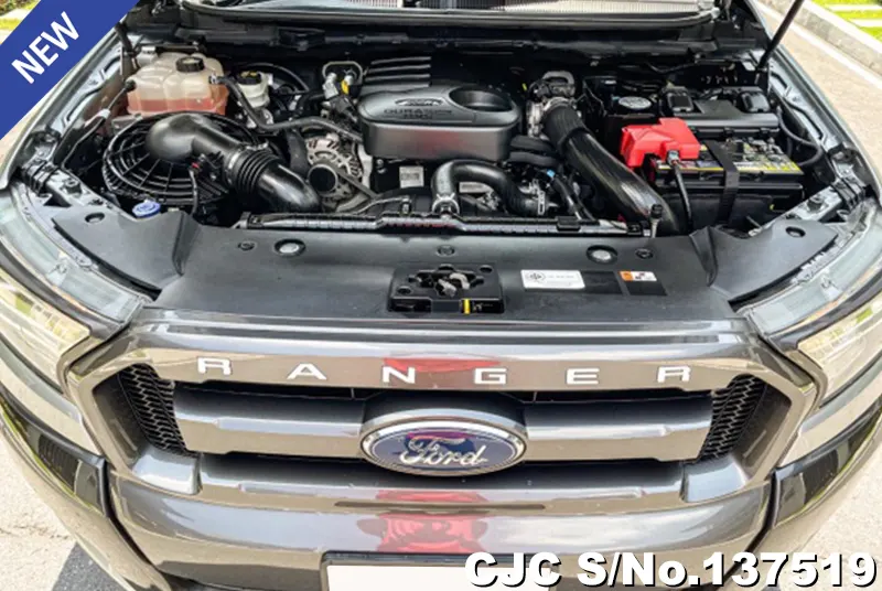 Ford Ranger in Gray for Sale Image 14
