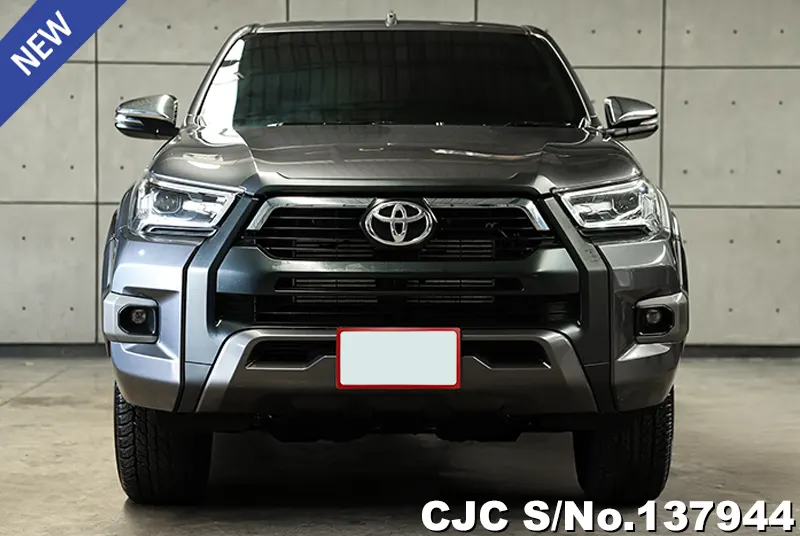 Toyota Hilux in Gray for Sale Image 2